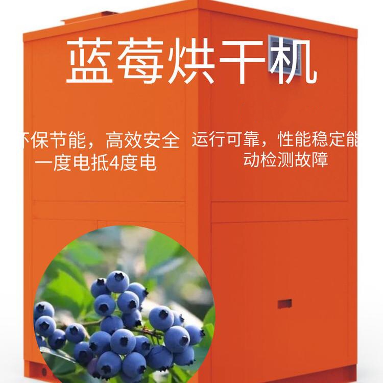 农产品烘干机蓝莓热泵烘干机